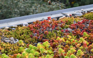 the cost of Plump Hill green roof installation