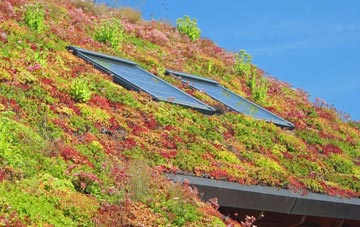 Plump Hill living roof systems